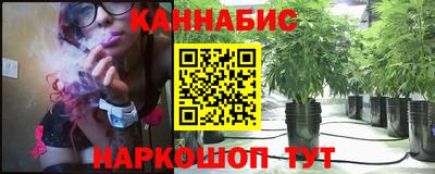 бошки Будённовск